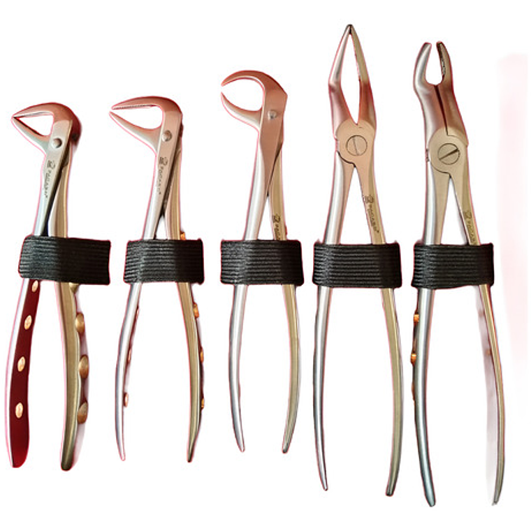 Fórceps Dentales Set De 10u Calidad Pacard Instruments Stgo. 1