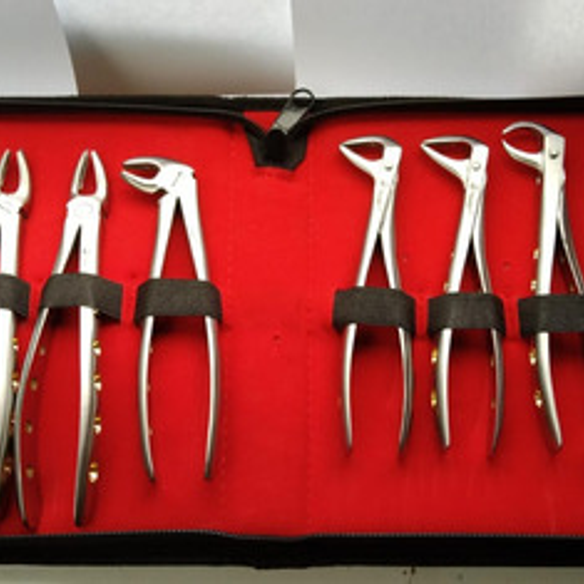 Fórceps Dentales Set De 10u Calidad Pacard Instruments Stgo. 2