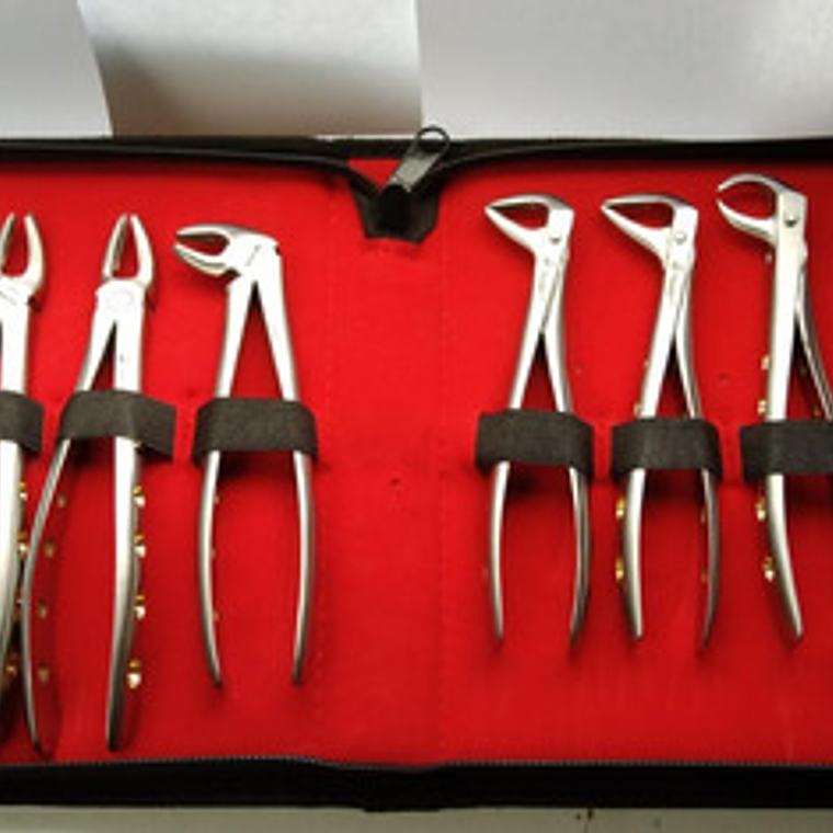 Fórceps Dentales Set De 10u Calidad Pacard Instruments Stgo. 2