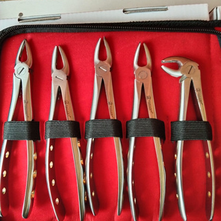 Fórceps Dentales Set De 10u Calidad Pacard Instruments Stgo. 3