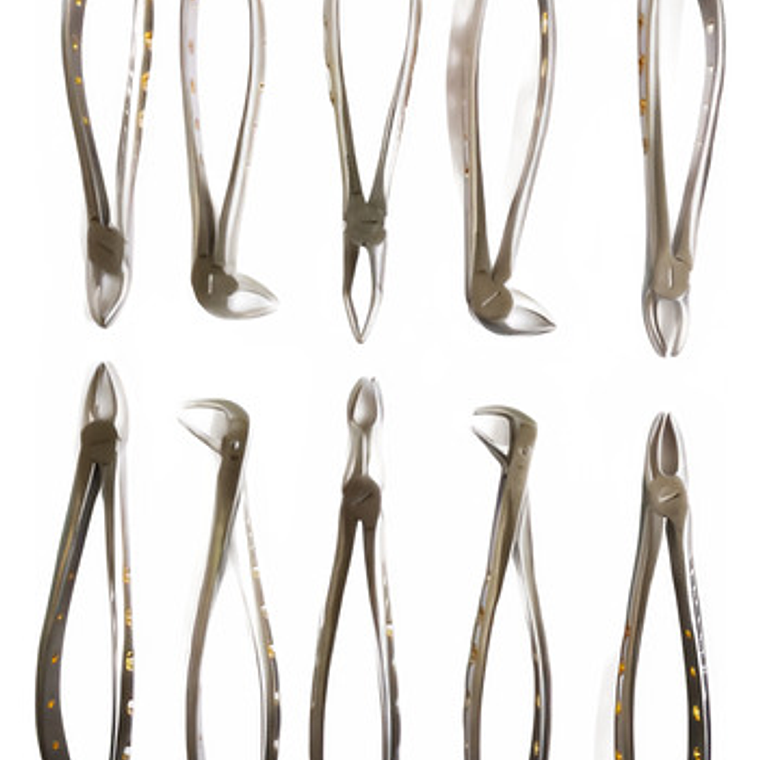 Fórceps Dentales Set De 10u Calidad Pacard Instruments Stgo. 6