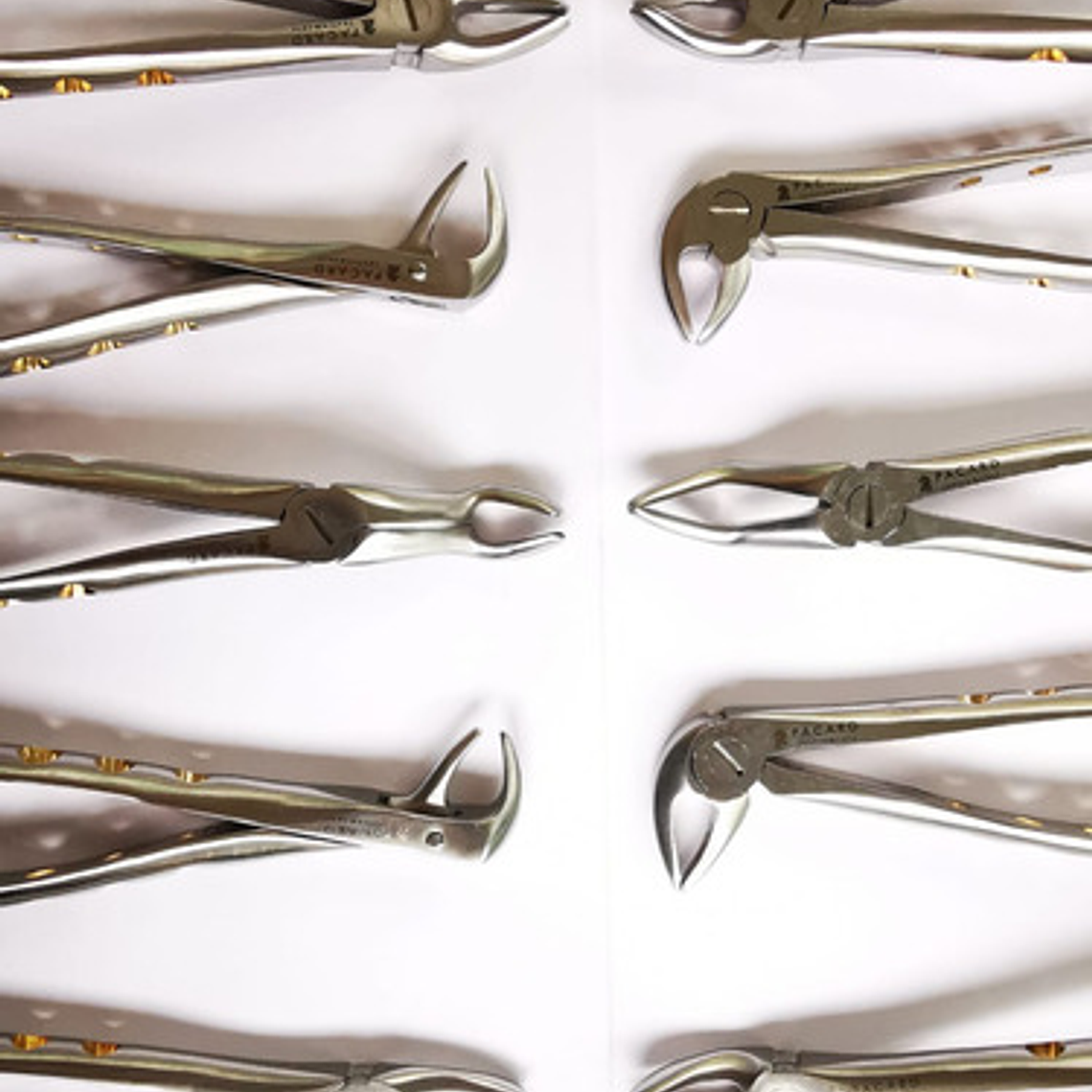 Fórceps Dentales Set De 10u Calidad Pacard Instruments Stgo. 8