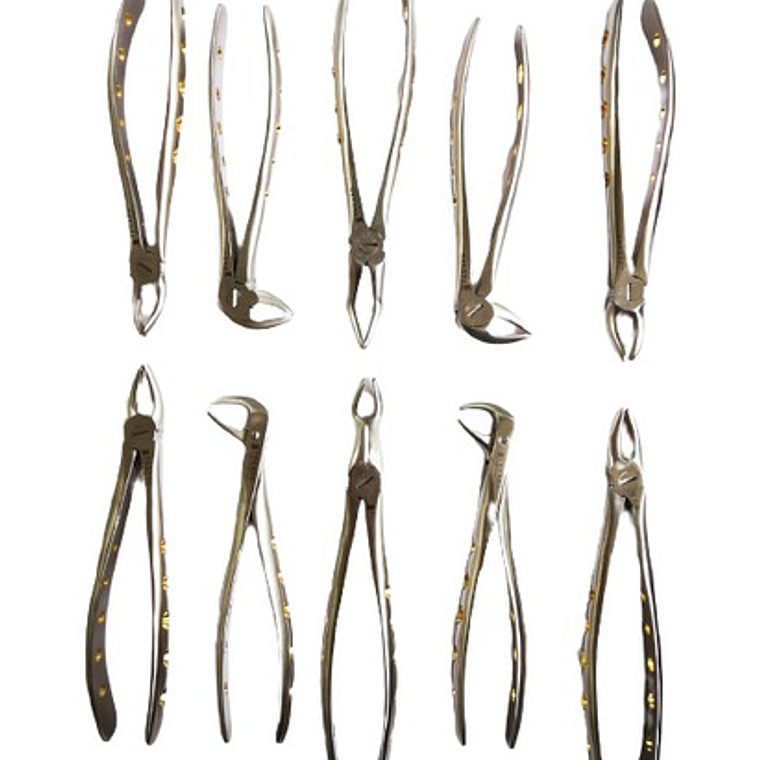 Fórceps Dentales Set De 10u Calidad Pacard Instruments Stgo. 11