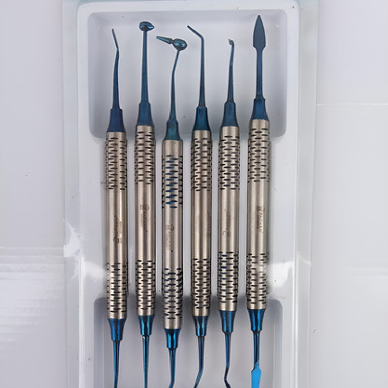 Espátulas Composite Dental Marca Pacard Original Calidad 10