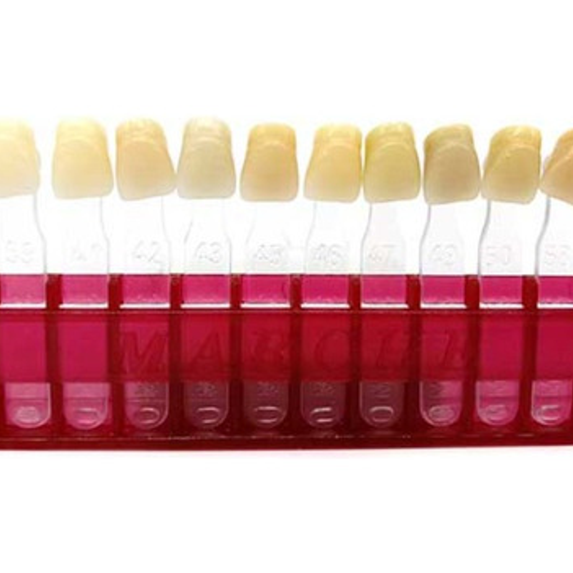 Muestrario De Colores Dental Para Dientes Marche 1