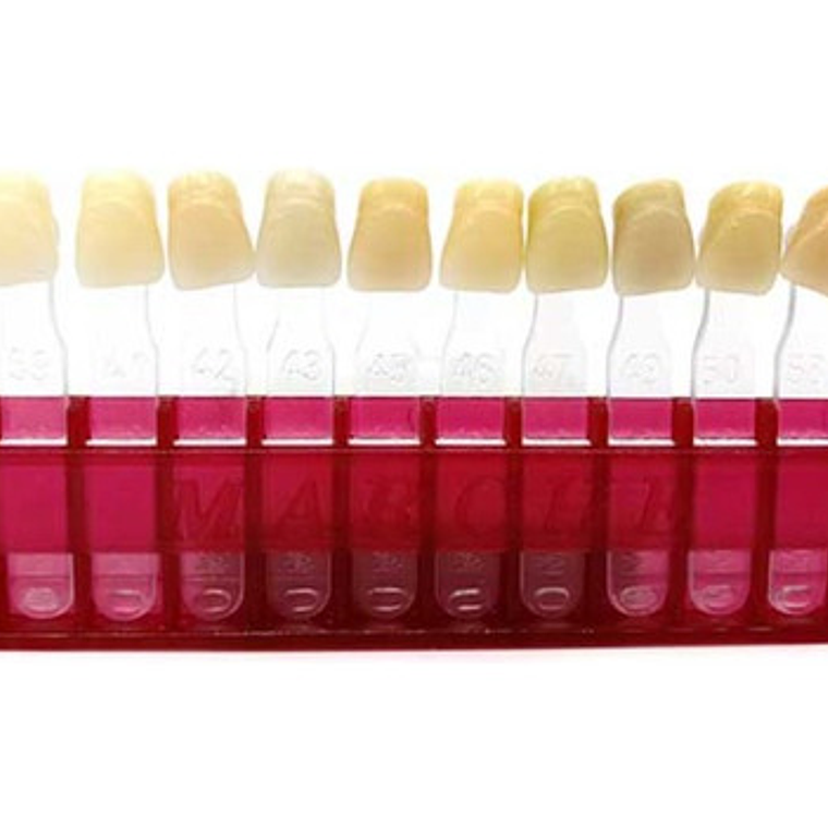 Muestrario De Colores Dental Para Dientes Marche 1