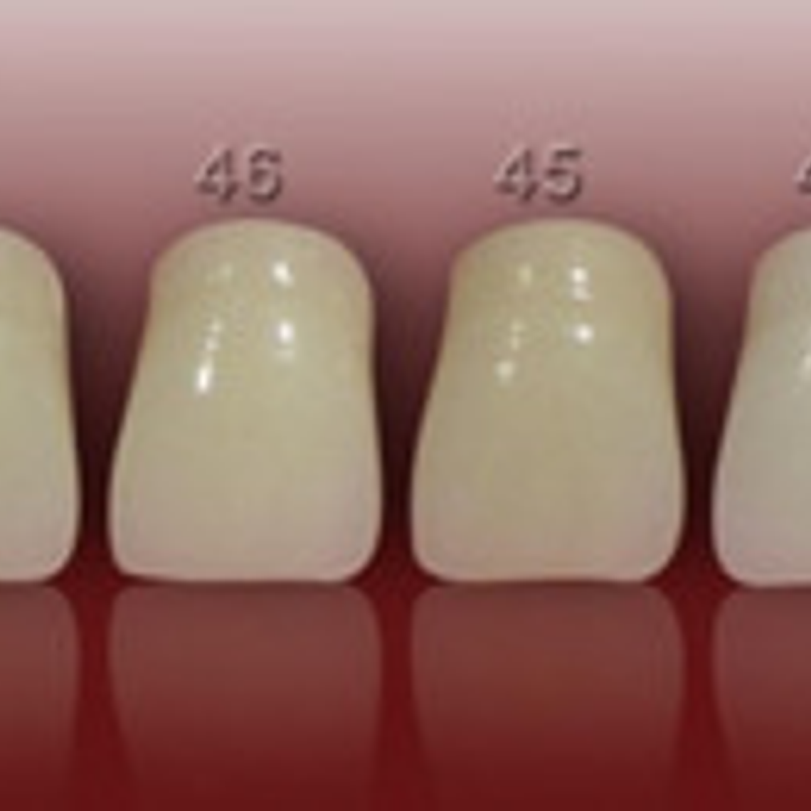 Muestrario De Colores Dental Para Dientes Marche 3