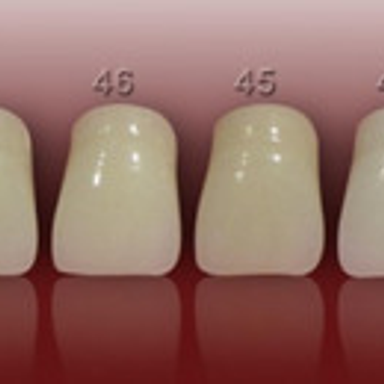 Muestrario De Colores Dental Para Dientes Marche 3