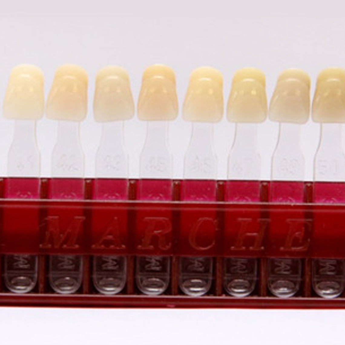 Muestrario De Colores Dental Para Dientes Marche 4
