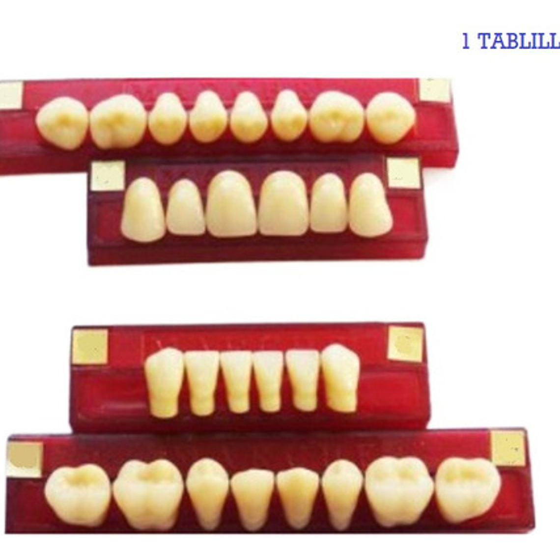 Tableta De Dientes De Acrílico Marche Anteriores Superiores 65