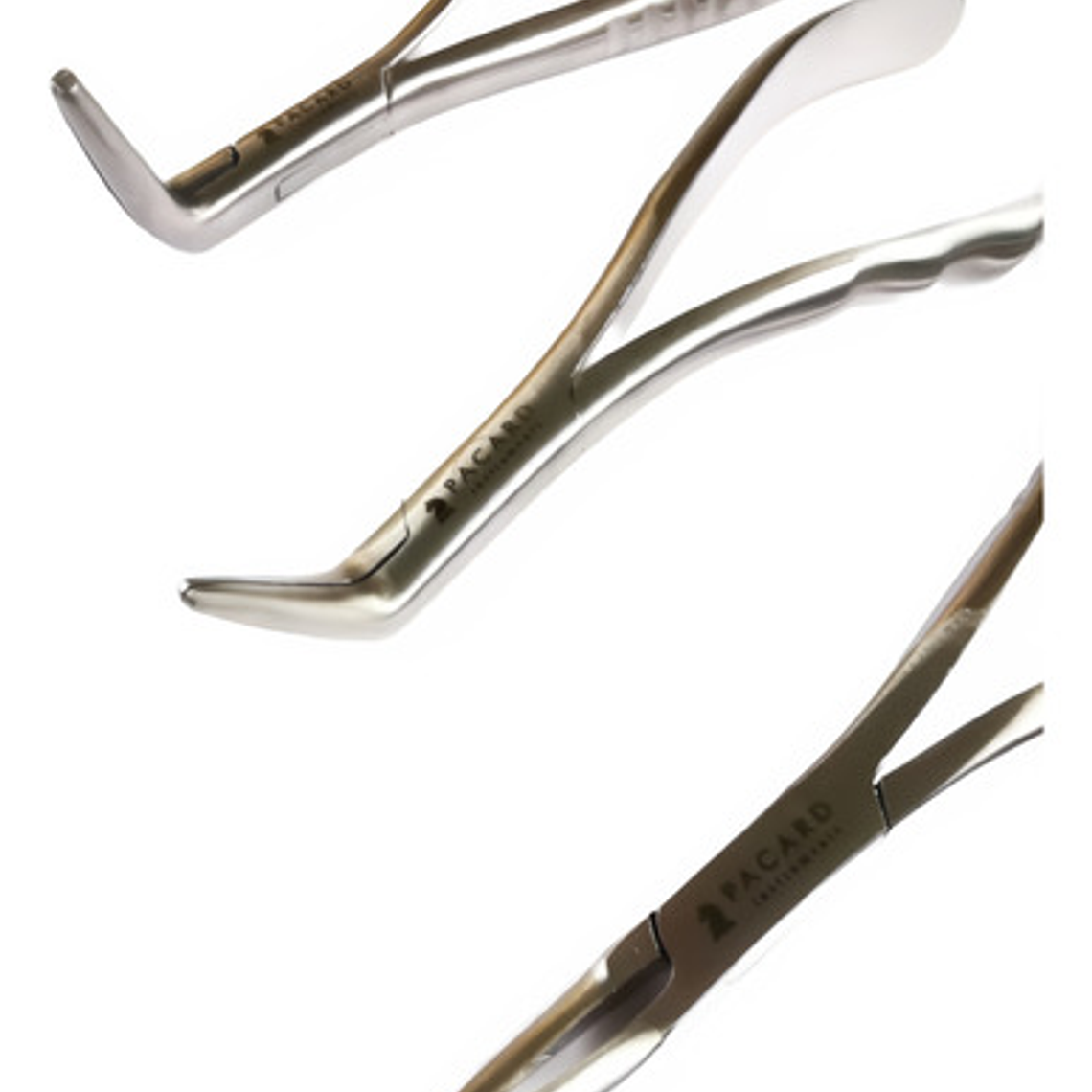 Set 3 Forcep Extracción Raíces Dentales Premium Marca Pacard 4