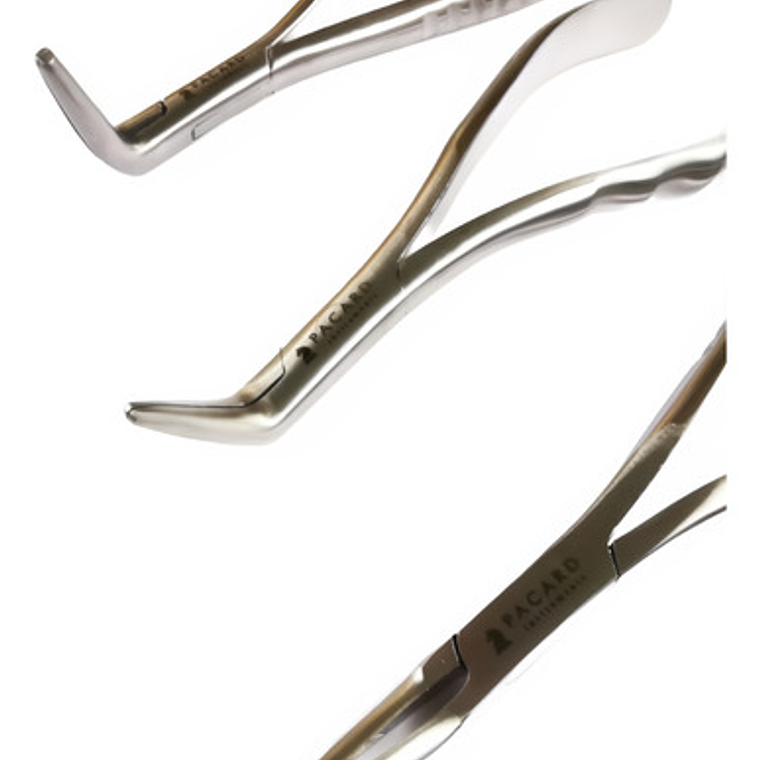 Set 3 Forcep Extracción Raíces Dentales Premium Marca Pacard 4