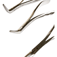 Set 3 Forcep Extracción Raíces Dentales Premium Marca Pacard - Miniatura 4