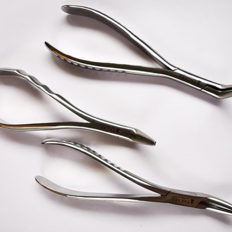 Set 3 Forcep Extracción Raíces Dentales Premium Marca Pacard 5