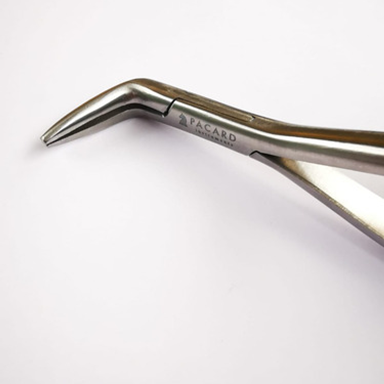 Set 3 Forcep Extracción Raíces Dentales Premium Marca Pacard 7