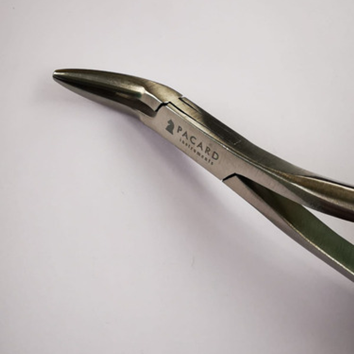 Set 3 Forcep Extracción Raíces Dentales Premium Marca Pacard 8