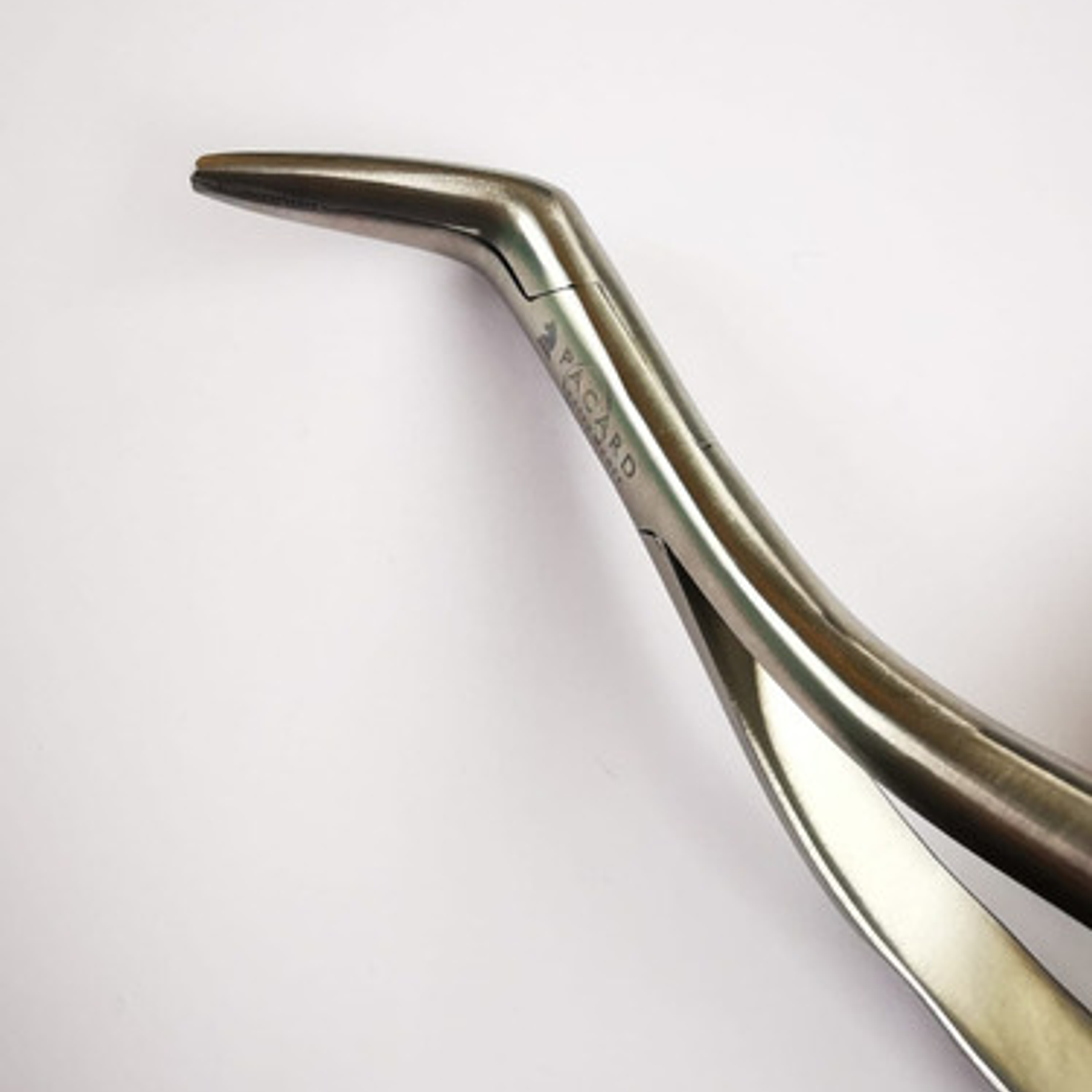 Set 3 Forcep Extracción Raíces Dentales Premium Marca Pacard 10