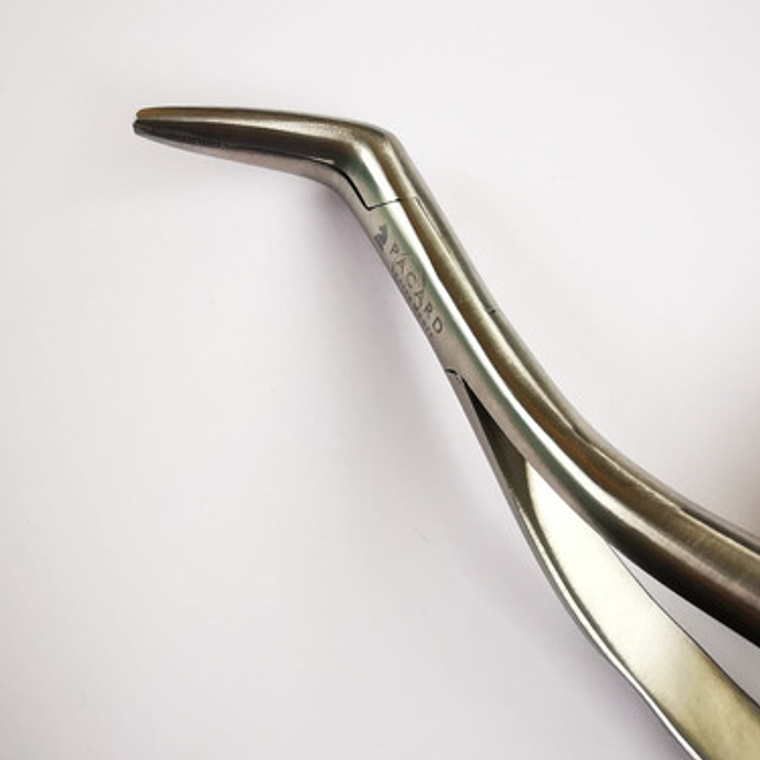 Set 3 Forcep Extracción Raíces Dentales Premium Marca Pacard 10