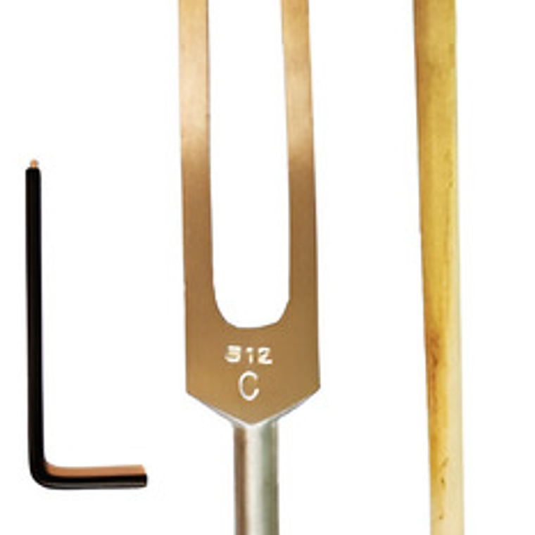 Diapasón Set 256 Ó 512hz Profesional Calidad Premium 1