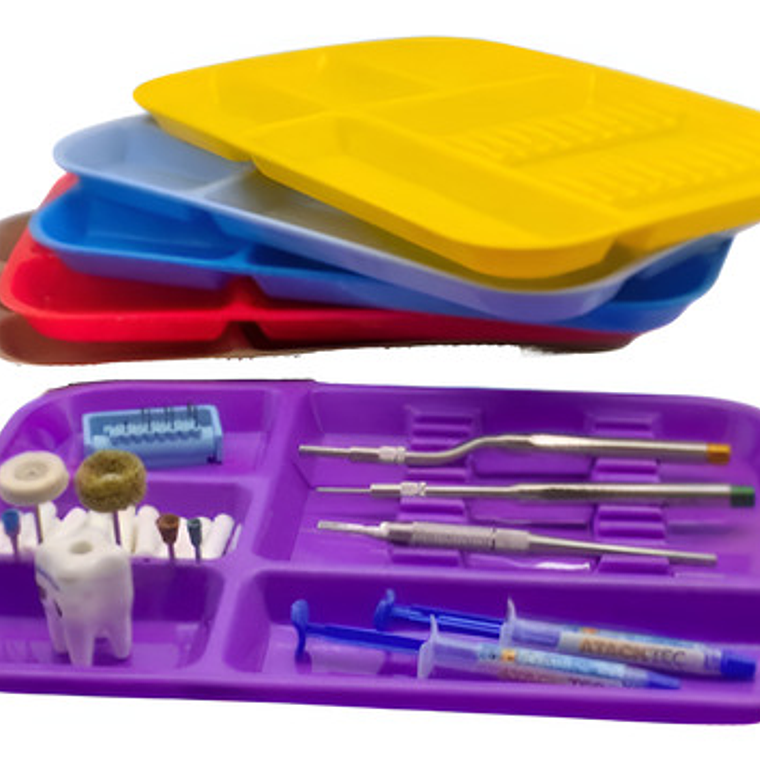 Bandeja Plástica Dental Secciones Calidad Colores 1 Unidad 1