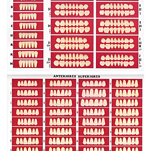 Catálogo De Moldes Para Dientes Marche En Papel