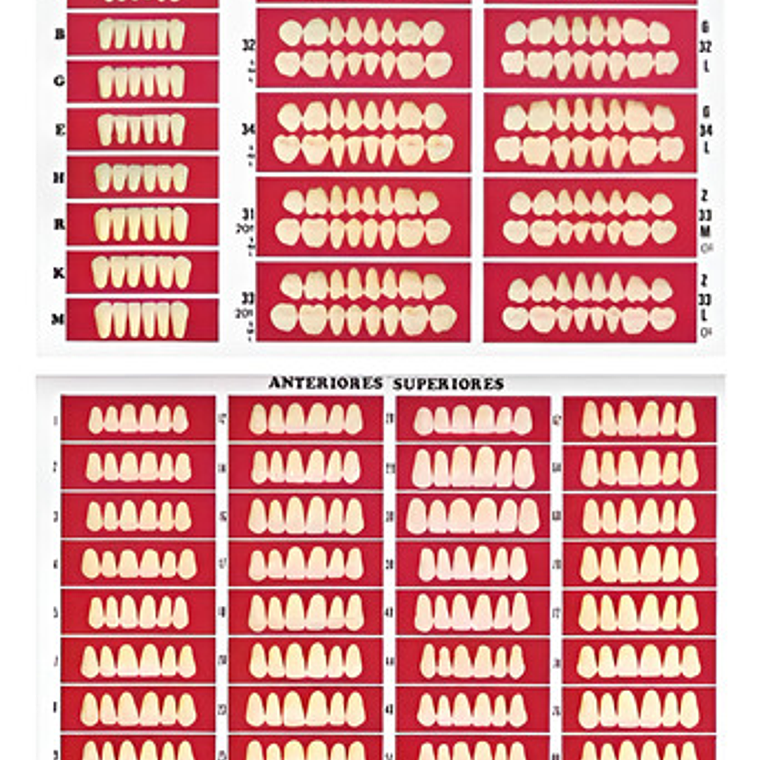 Catálogo De Moldes Para Dientes Marche En Papel 1