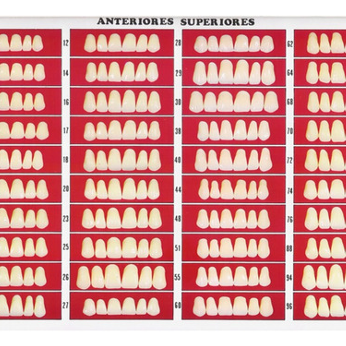 Catálogo De Moldes Para Dientes Marche En Papel 2