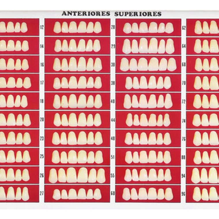 Catálogo De Moldes Para Dientes Marche En Papel 2