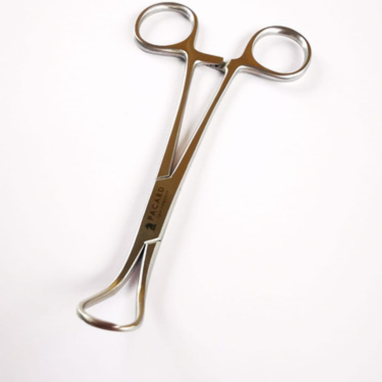 Pinza Backhouse Forcep Premium Original Marca Pacard Medidas 2