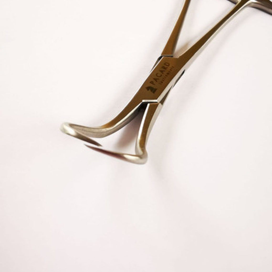 Pinza Backhouse Forcep Premium Original Marca Pacard Medidas 4