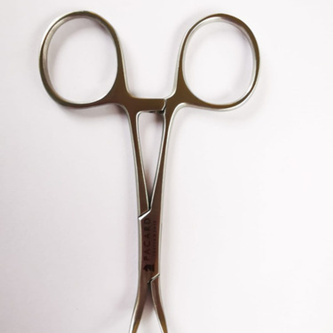 Pinza Backhouse Forcep Premium Original Marca Pacard Medidas 7