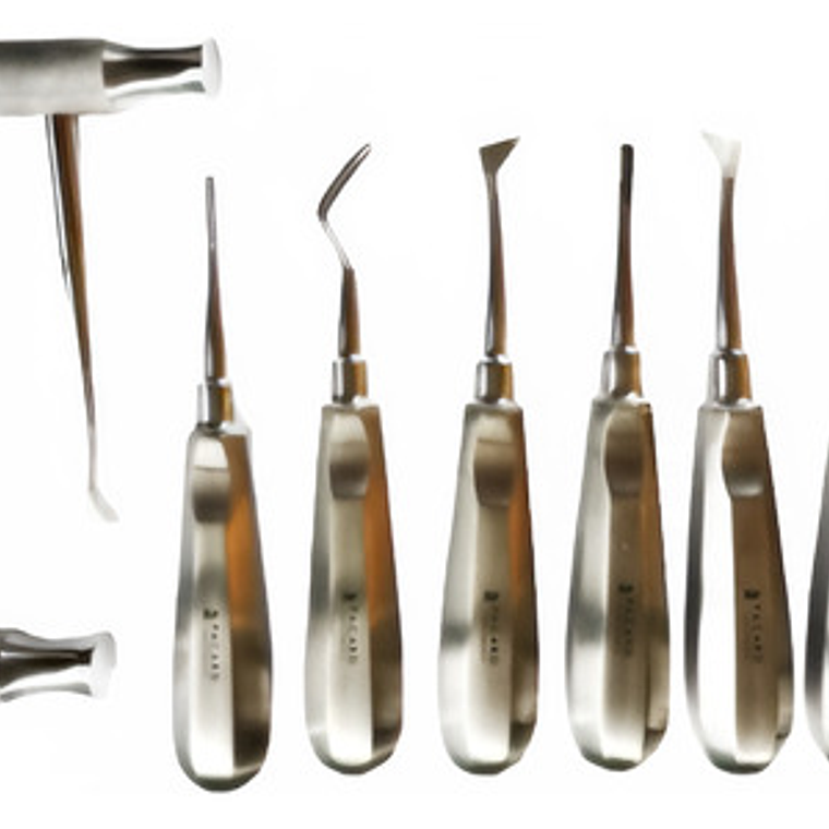 Set Elevadores Dentales Premium Marca Pacard Con Winter En T 1