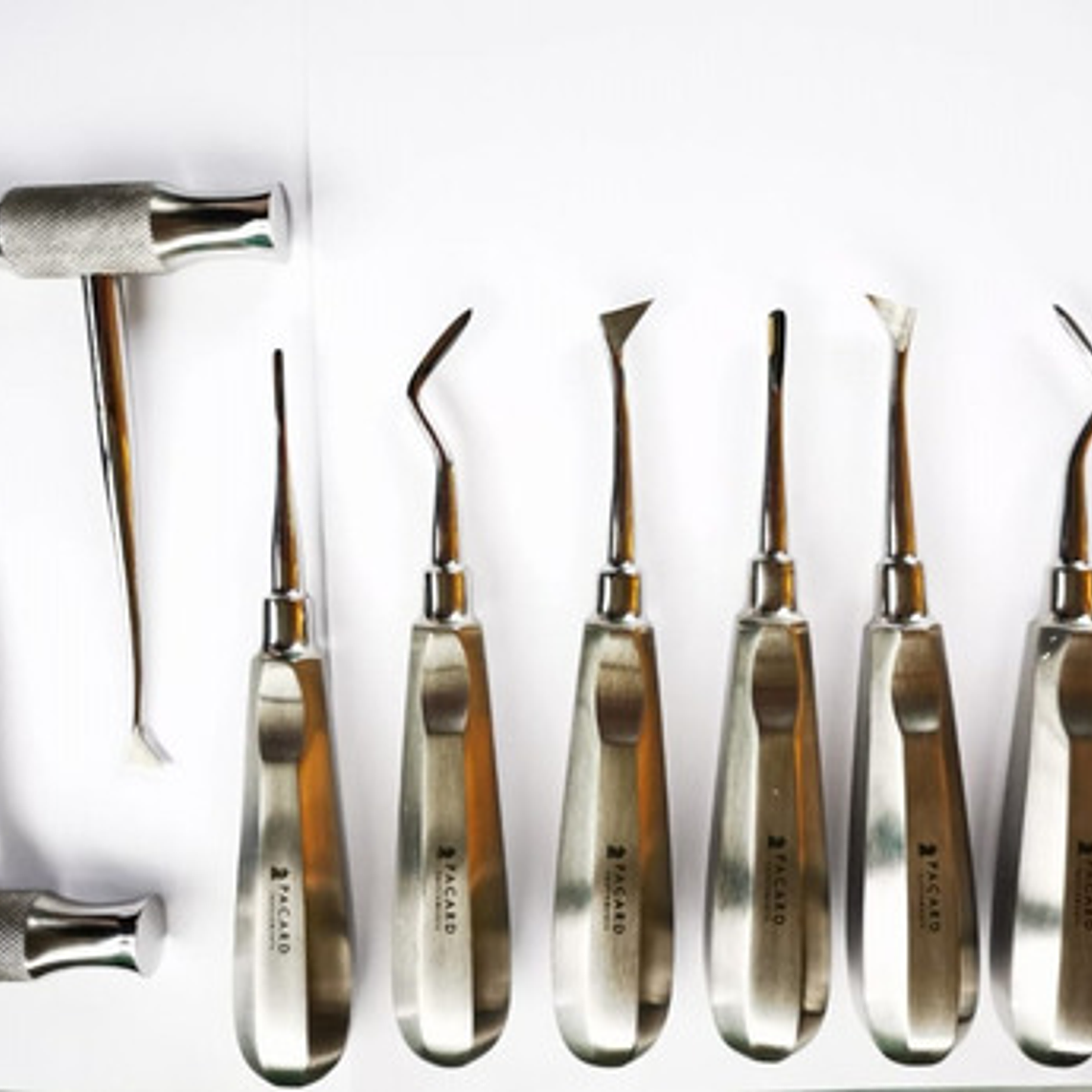 Set Elevadores Dentales Premium Marca Pacard Con Winter En T 2