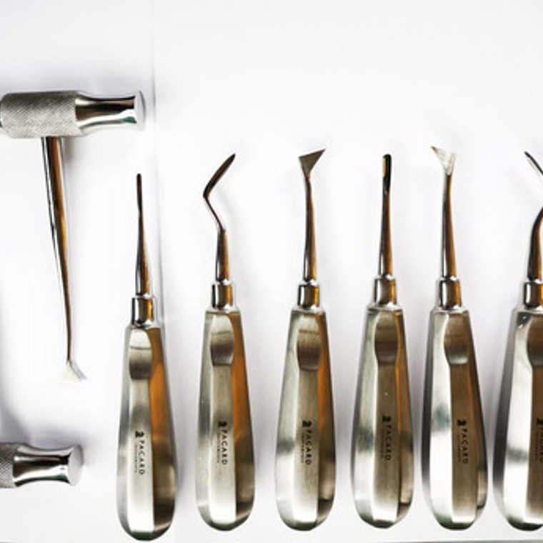 Set Elevadores Dentales Premium Marca Pacard Con Winter En T 2