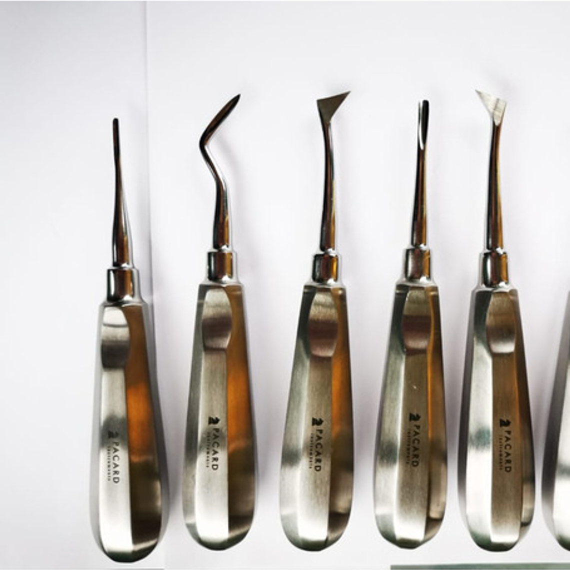 Set Elevadores Dentales Premium Marca Pacard Con Winter En T 4