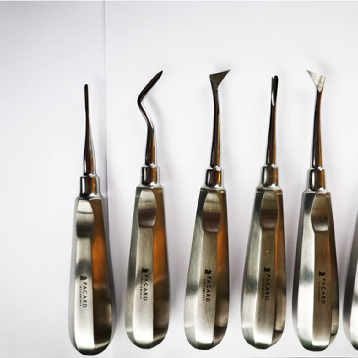 Set Elevadores Dentales Premium Marca Pacard Con Winter En T 5