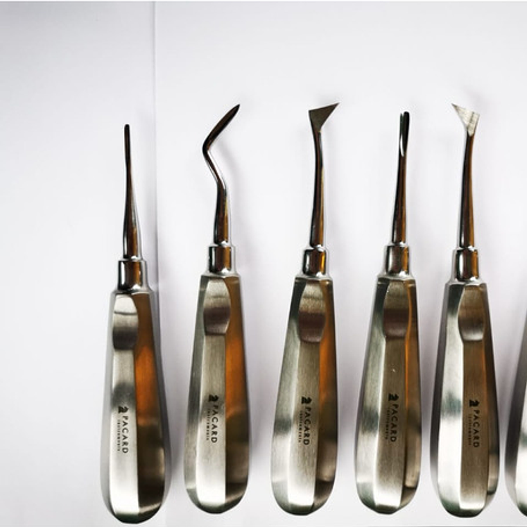 Set Elevadores Dentales Premium Marca Pacard Con Winter En T 5