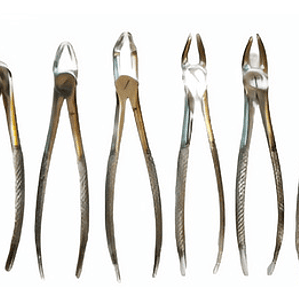 Fórceps Dentales Set De 10u Clásicos Pacard Instruments  