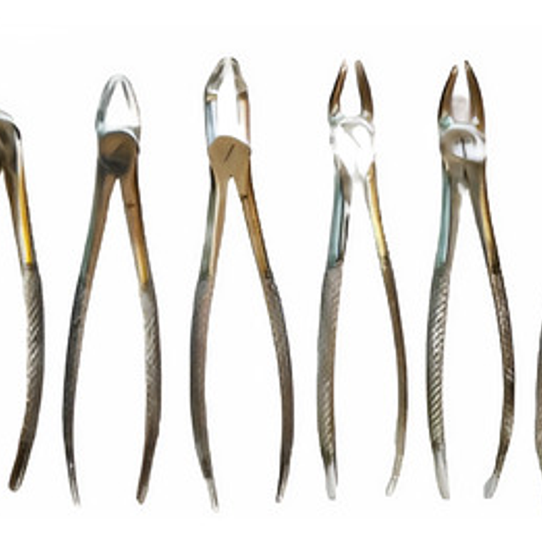 Fórceps Dentales Set De 10u Clásicos Pacard Instruments   1