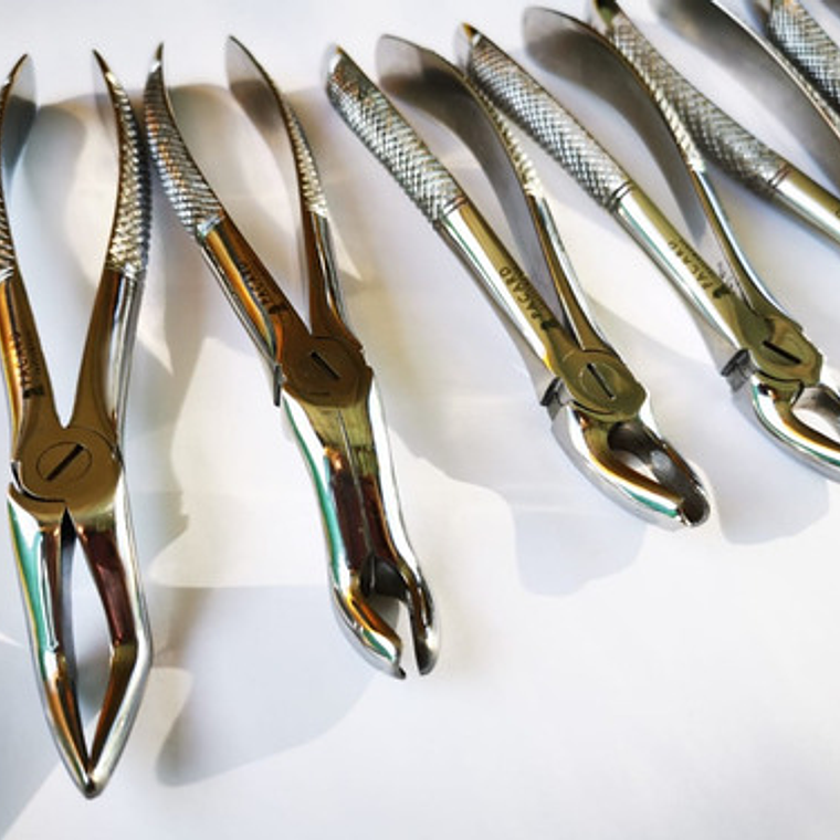 Fórceps Dentales Set De 10u Clásicos Pacard Instruments   2