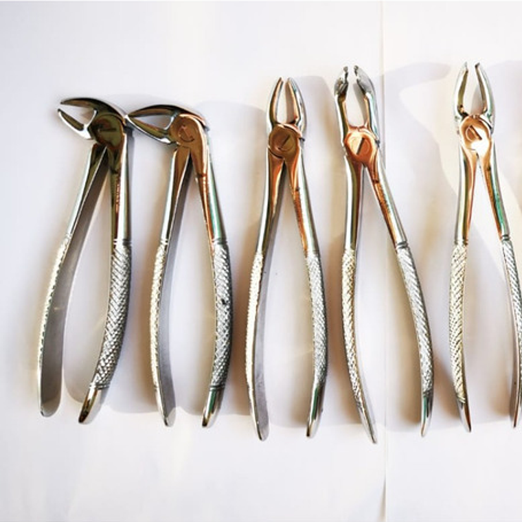 Fórceps Dentales Set De 10u Clásicos Pacard Instruments   5