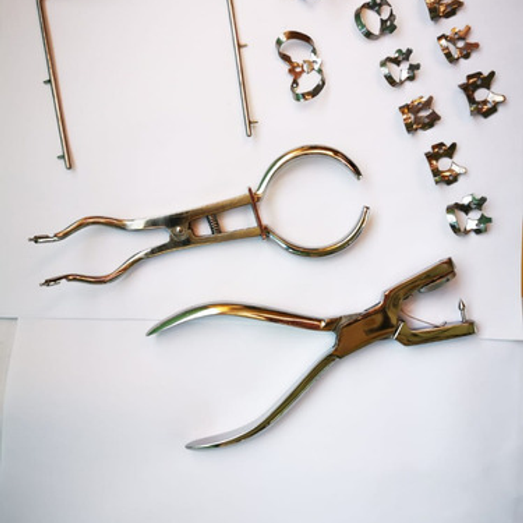 Set Xl Aislación Absoluta Perforador Porta Clamp Ivory Prof  2