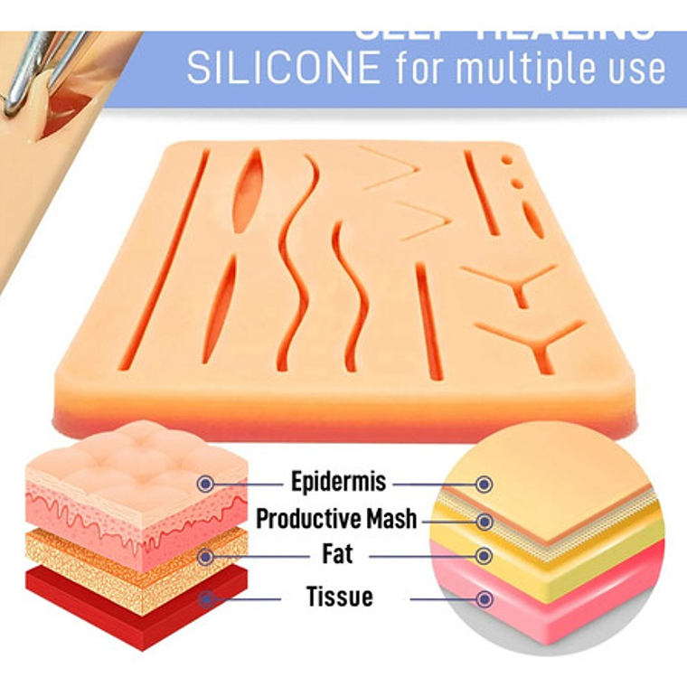 Almohadilla Práctica De Sutura Medicina Dental Lámina Full 6