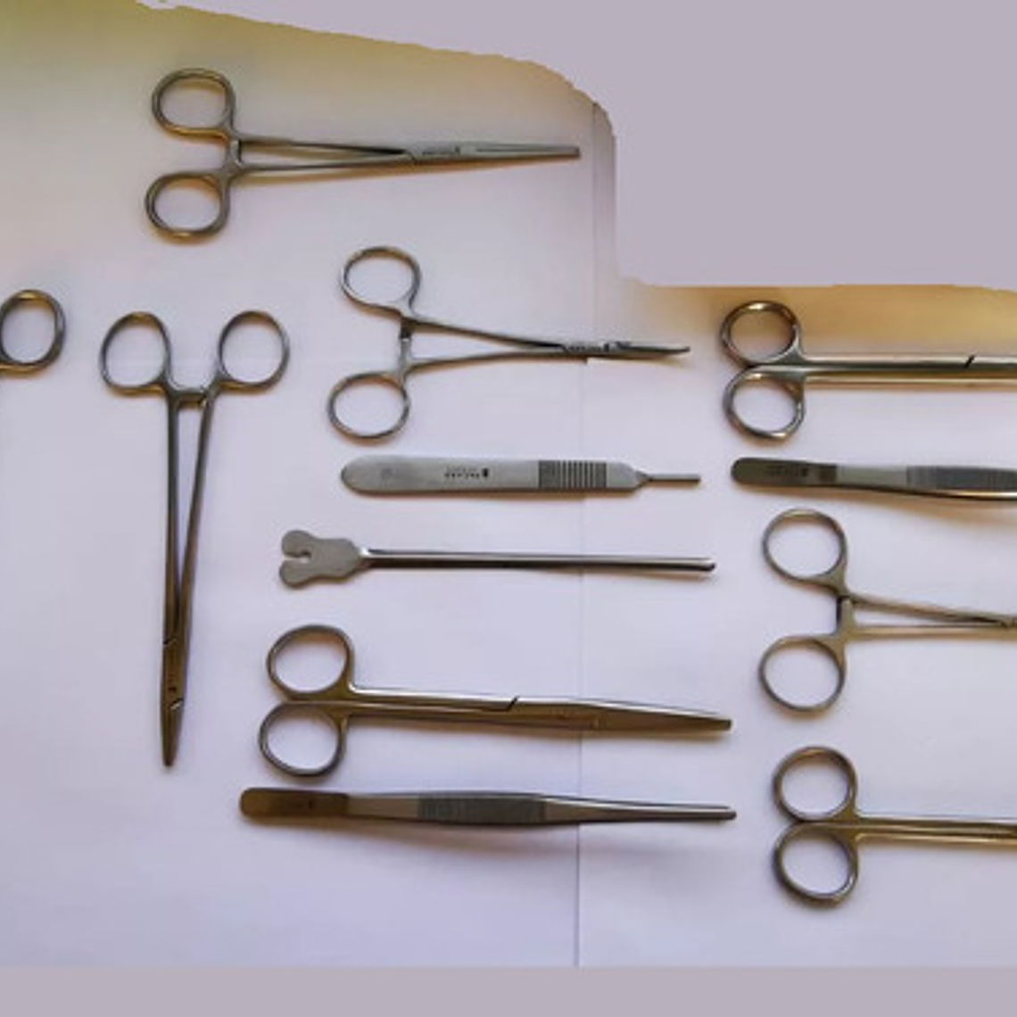 Set Quirúrgico 12 Instrumentos Cirugía Menor Calidad Pacard 2