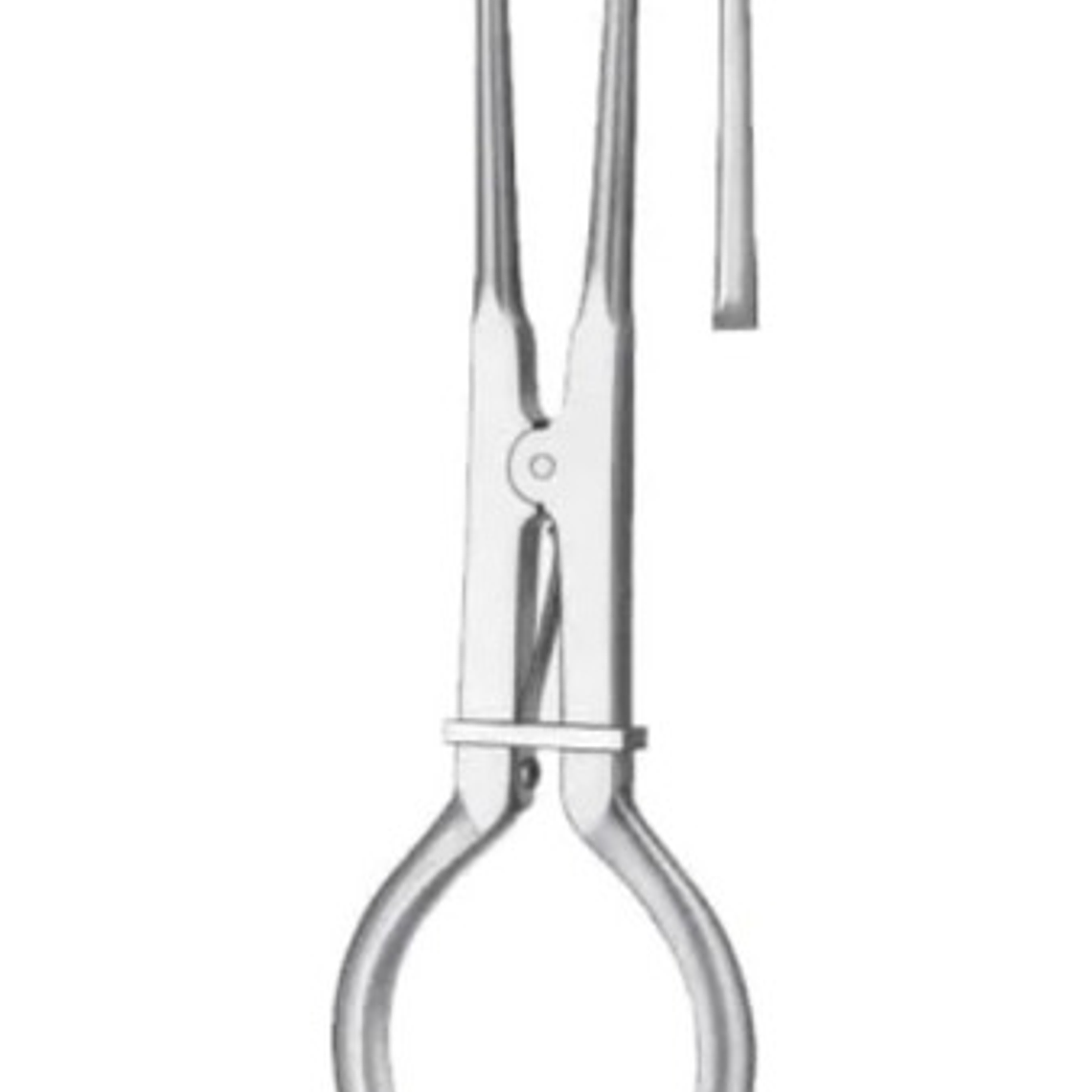 Porta Clamp Recto Dental Despacho Express 2