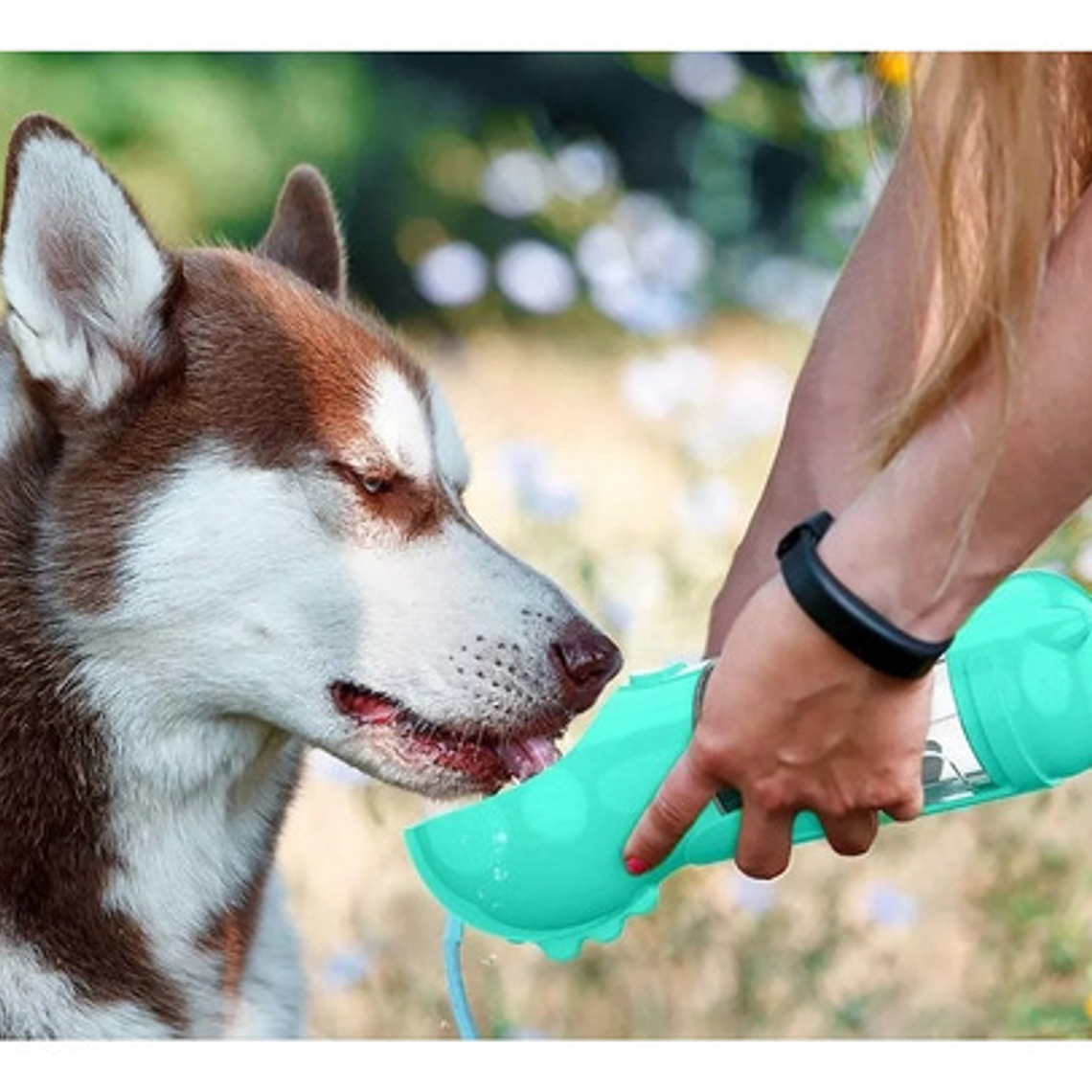 Bebedero Portátil Comida Agua Bolsas Mascota Parque Viajes 4