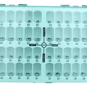 Set Coronas Metálicas Pediátricas Dental 48 Piezas Calidad