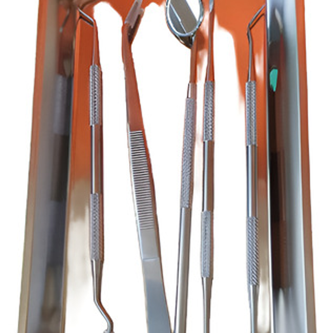 Set De Examen Dental Con Bandeja Acero Completo Calidad 1