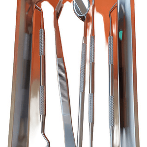 Set De Examen Dental Con Bandeja Acero Completo Calidad