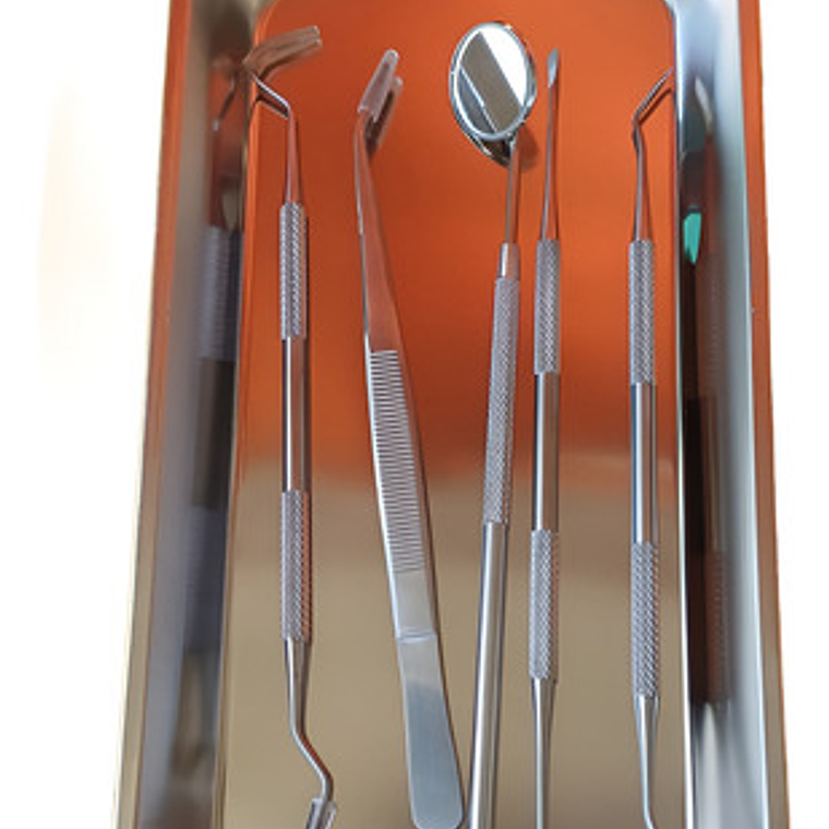 Set De Examen Dental Con Bandeja Acero Completo Calidad 3